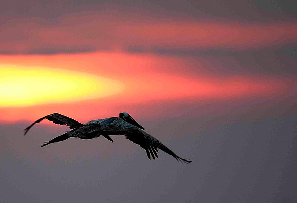 Toward the Sun.