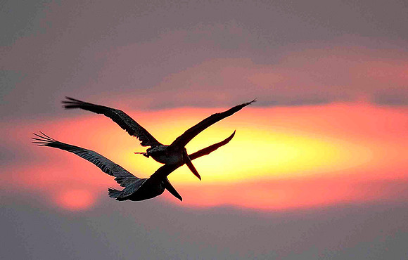 Early morning flight.