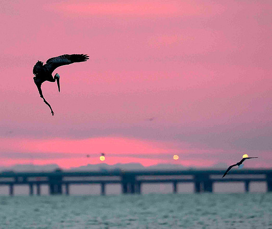 Diving at sunrise.