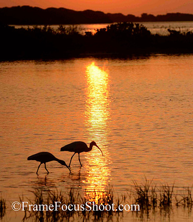 Sunrise Fort De Soto.